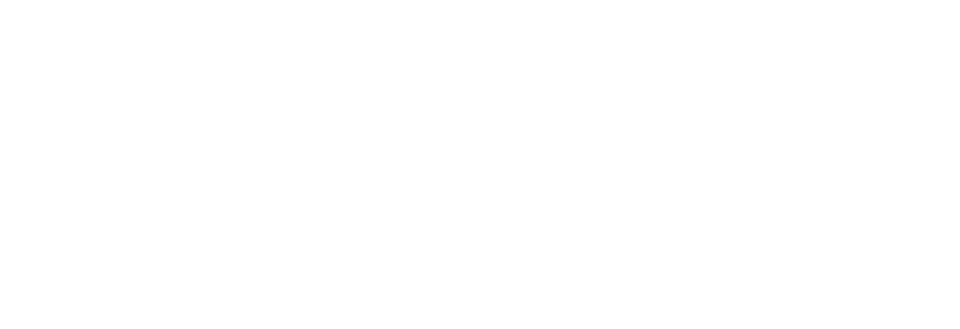 LOGO CCS